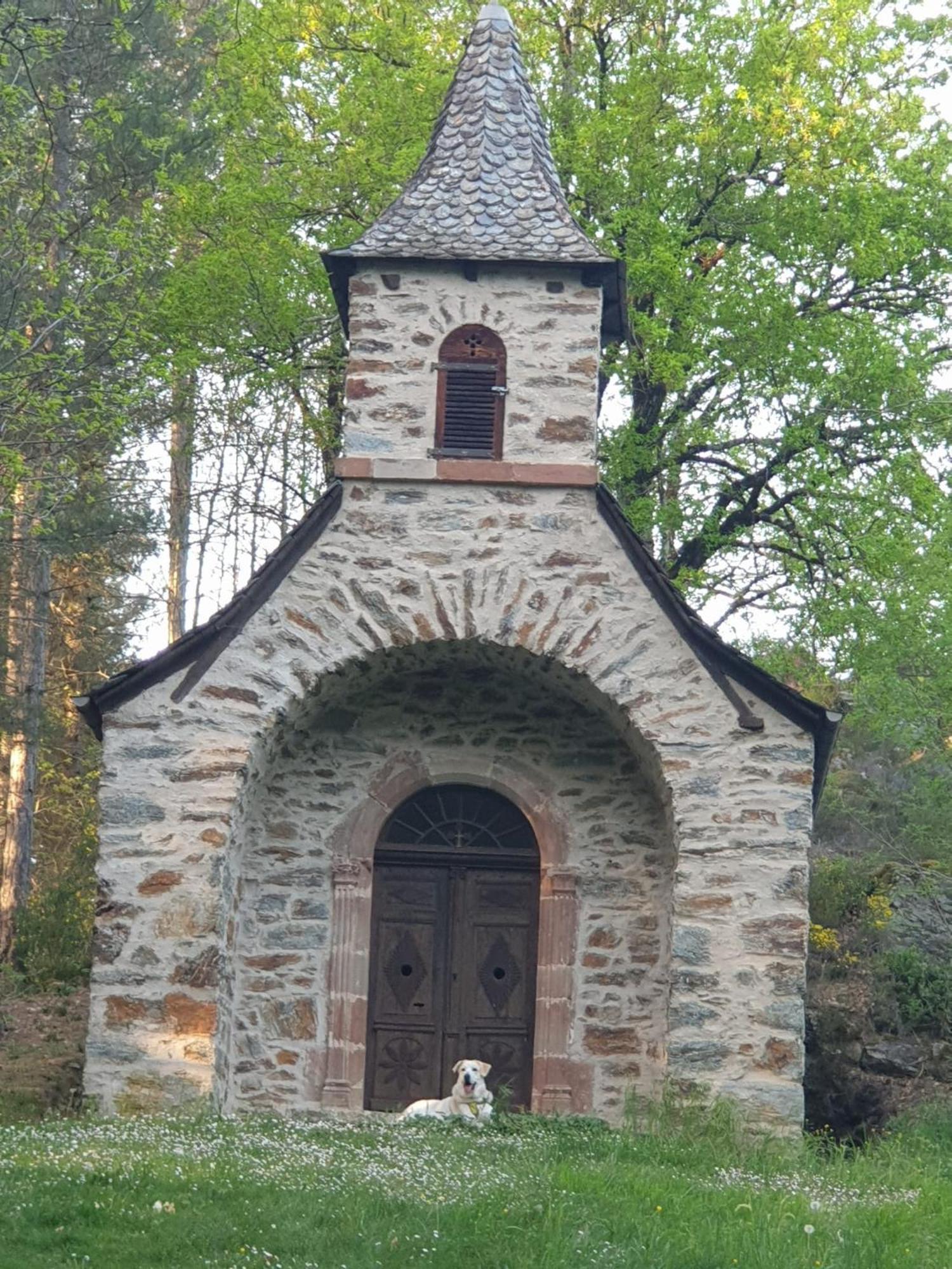 Hotel Aux Gorges Du Dourdou Conques-en-Rouergue Zewnętrze zdjęcie